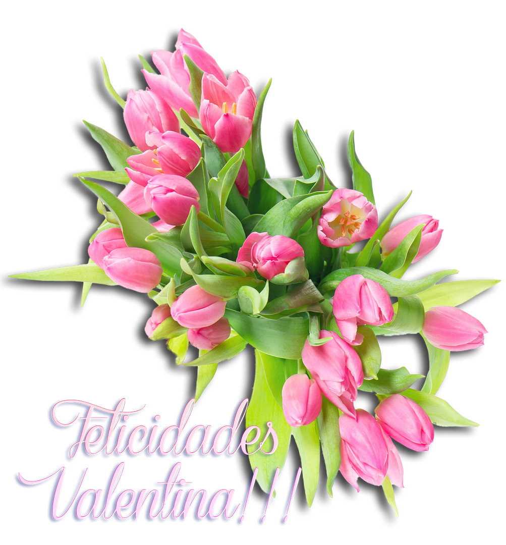  photo FloresValentina_zpsbbf5b914.png