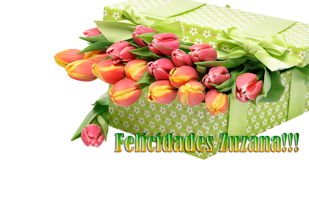  photo FloresZuzana_zps75893151.png