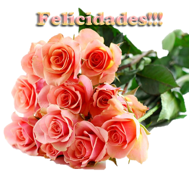  photo ROSES_zps1f781e23.png