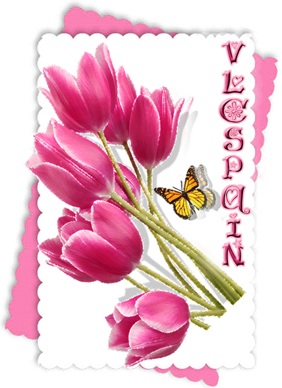  photo VlcSpain_zps40b5afce.gif