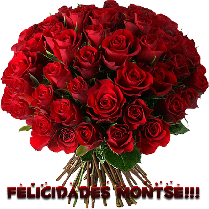 photo floresMontse_zps380961f7.png