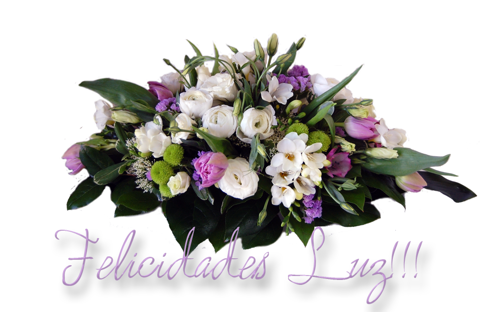  photo floressLuz_zps6ee931da.png