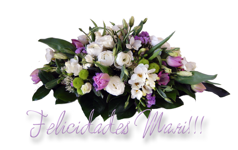  photo floressMari_zpsd5b32d5e.png