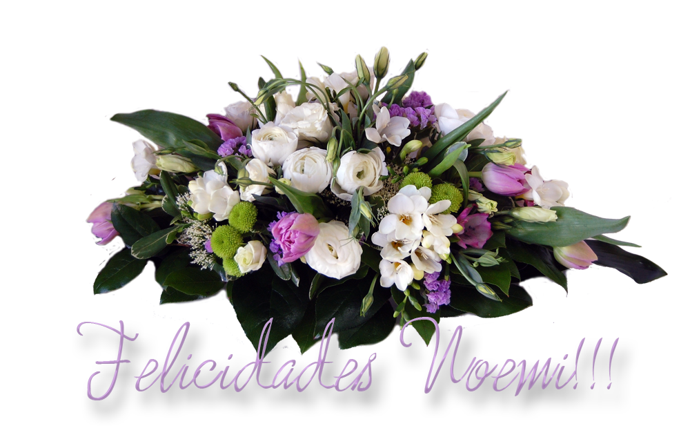  photo floressNoemi_zpsb27acb15.png