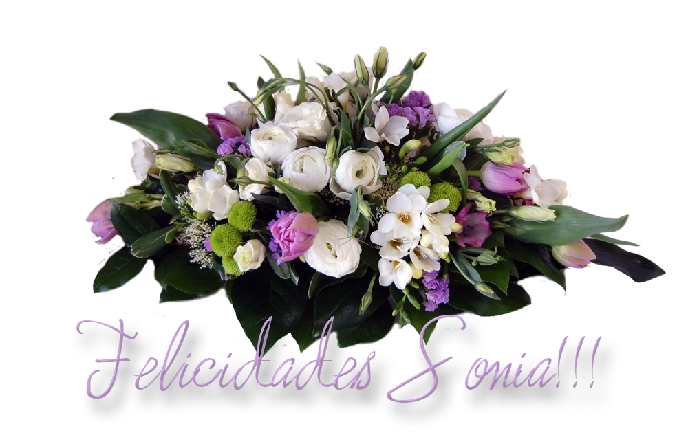 photo floressSonia_zps5908c16a.png