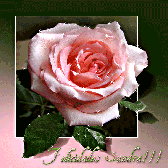  photo Flor-Sandra_zpsfebb04bd.gif