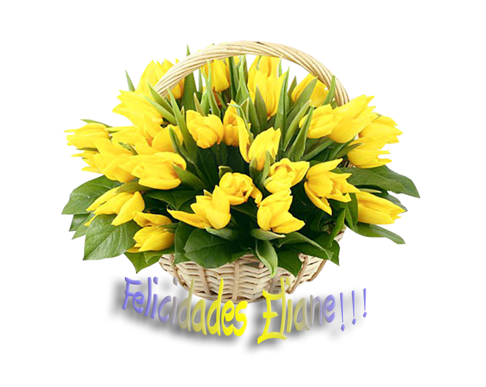  photo FloresEliane_zpse969d4d4.png