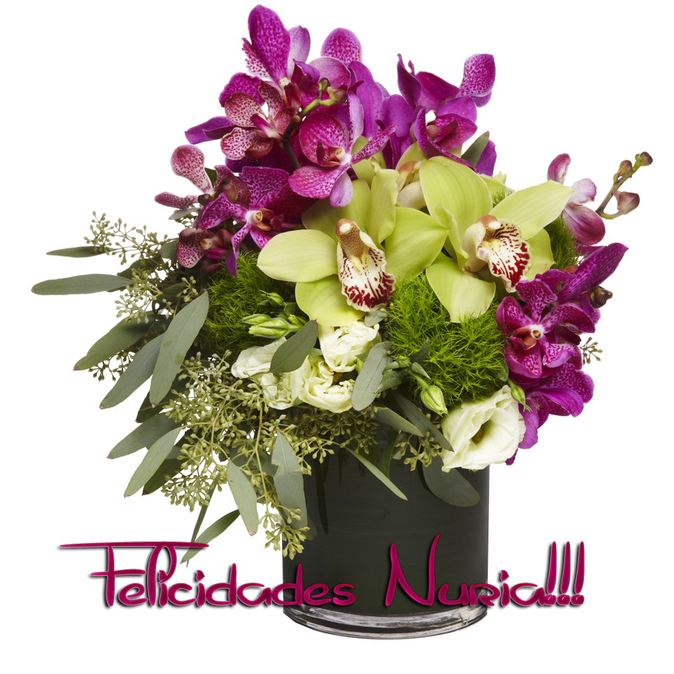  photo Floresa_zps92629536.png