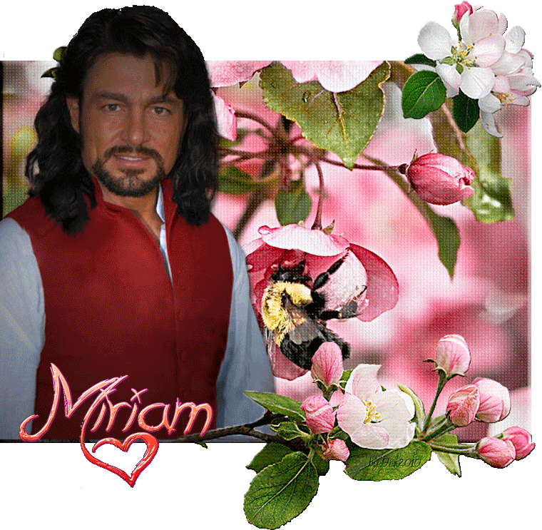  photo LUIS-Flowers-Miriam_zps4pdwl4pq.gif