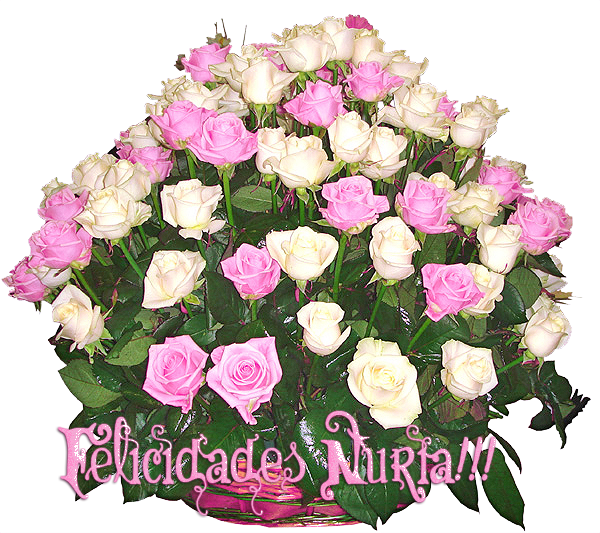 photo Nuria_zpsm548ze55.png