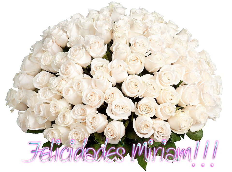 photo Rosas Miriam_zps6miu6oal.png