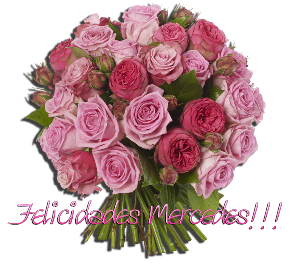 photo Rose Mercedes_zpspiygg33m.png