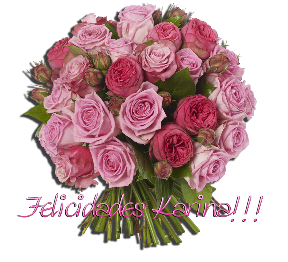 photo Rose-BouquetKarina_zpsbf2b6f51.png