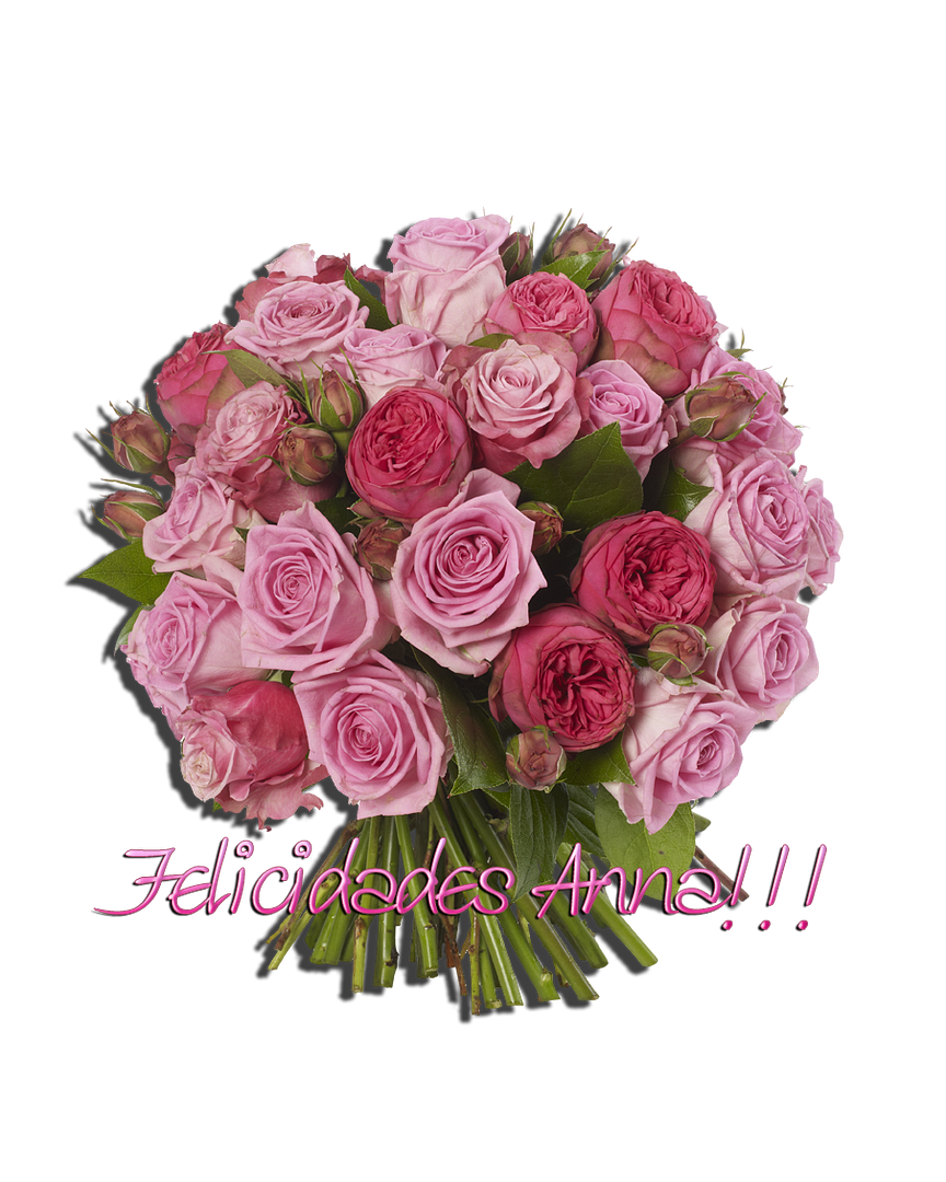  photo RosesAnna_zps02b24781.png
