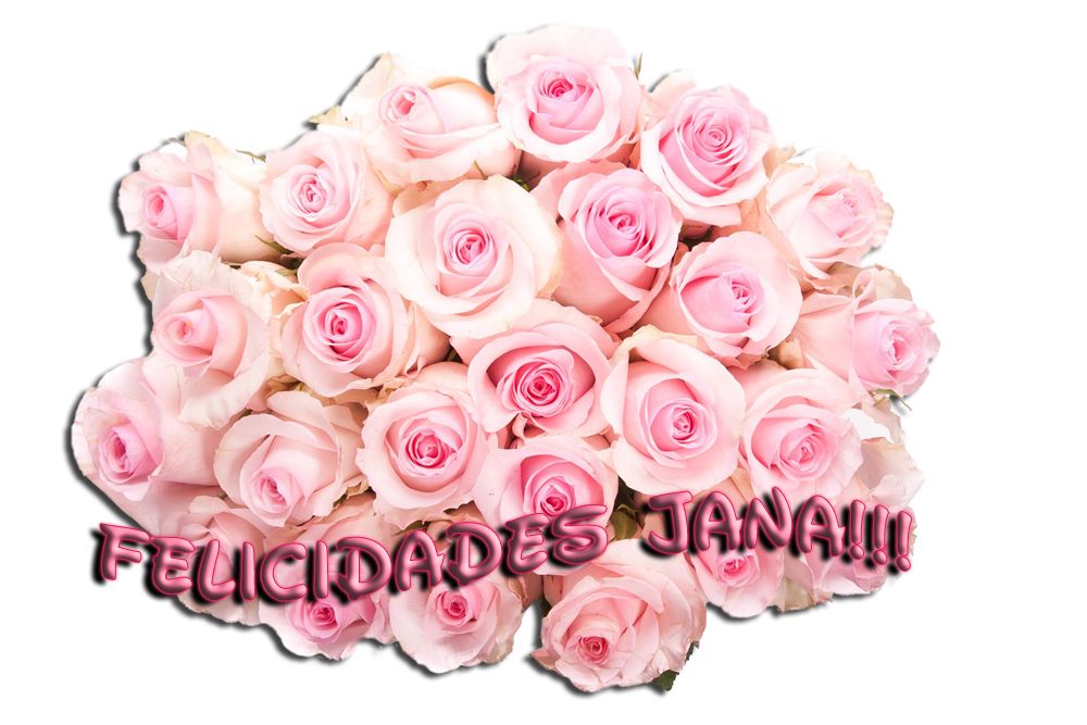  photo RosesJana_zpsirdnlism.png