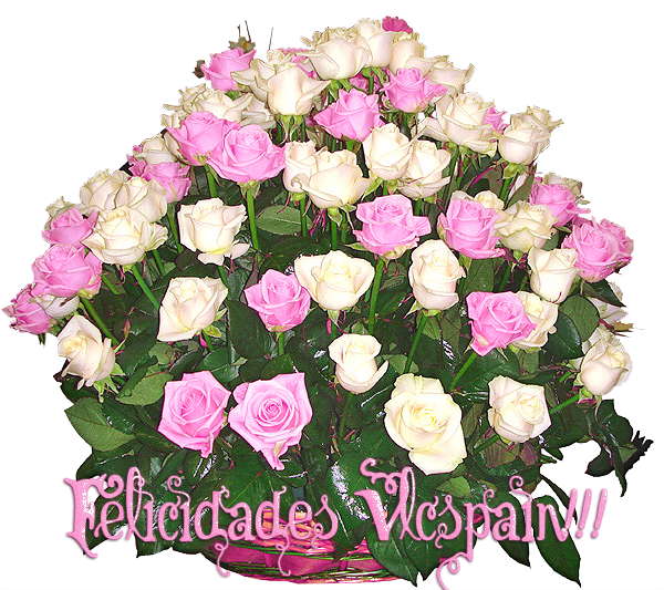  photo Vlcspain_zpsmvywb8b2.png