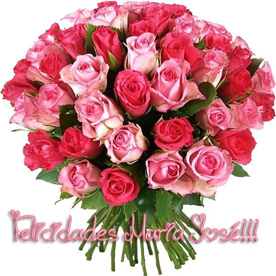photo flores MJ_zpsov5ed1gm.png