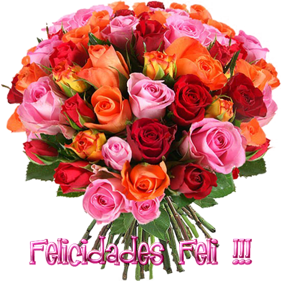 floresFELI_zps5284f4da.png