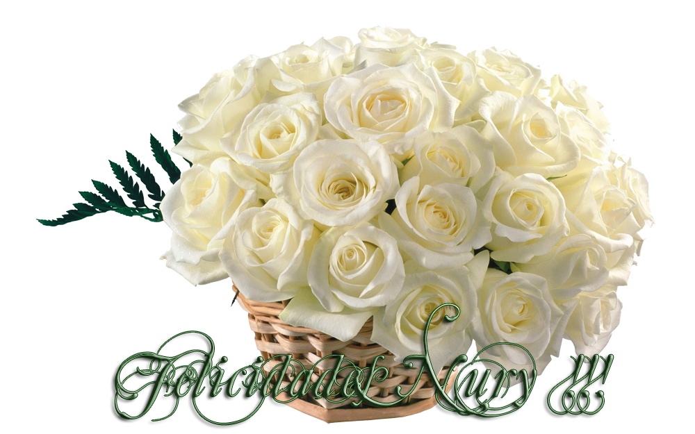 FelicidadesNury.png 