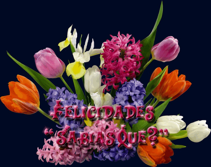 FelicidadesSabiasque-800x632.gif 