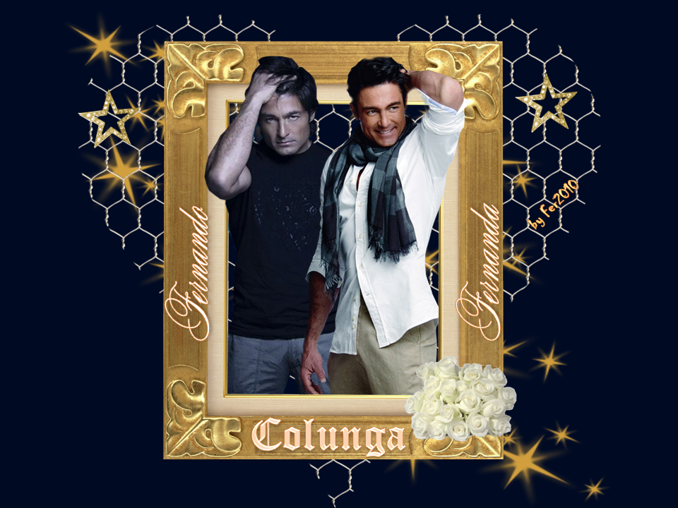 FERFER photo FERCUADROFER.png