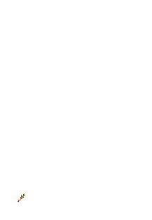 photo fogoartificioanimado.gif