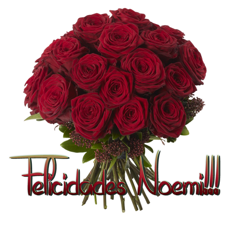  photo Red-Rose-Noemi_zps29d6b686.png