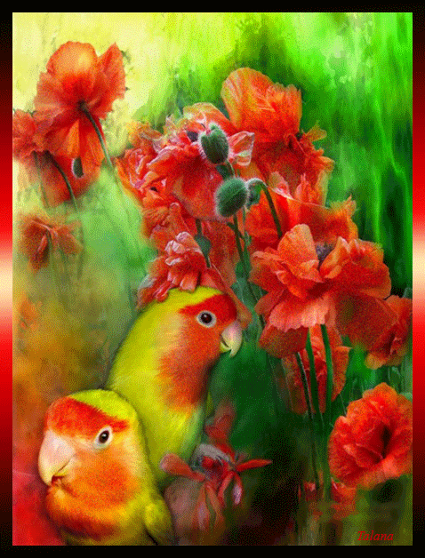  photo 96393056_zps42627cd2.gif