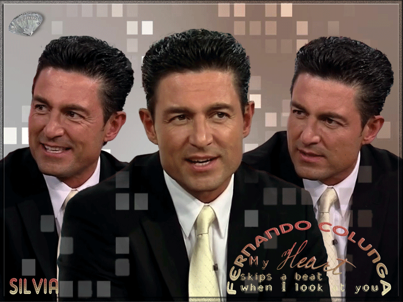  photo FER-Nov13SILVIA_zps587175f8.gif