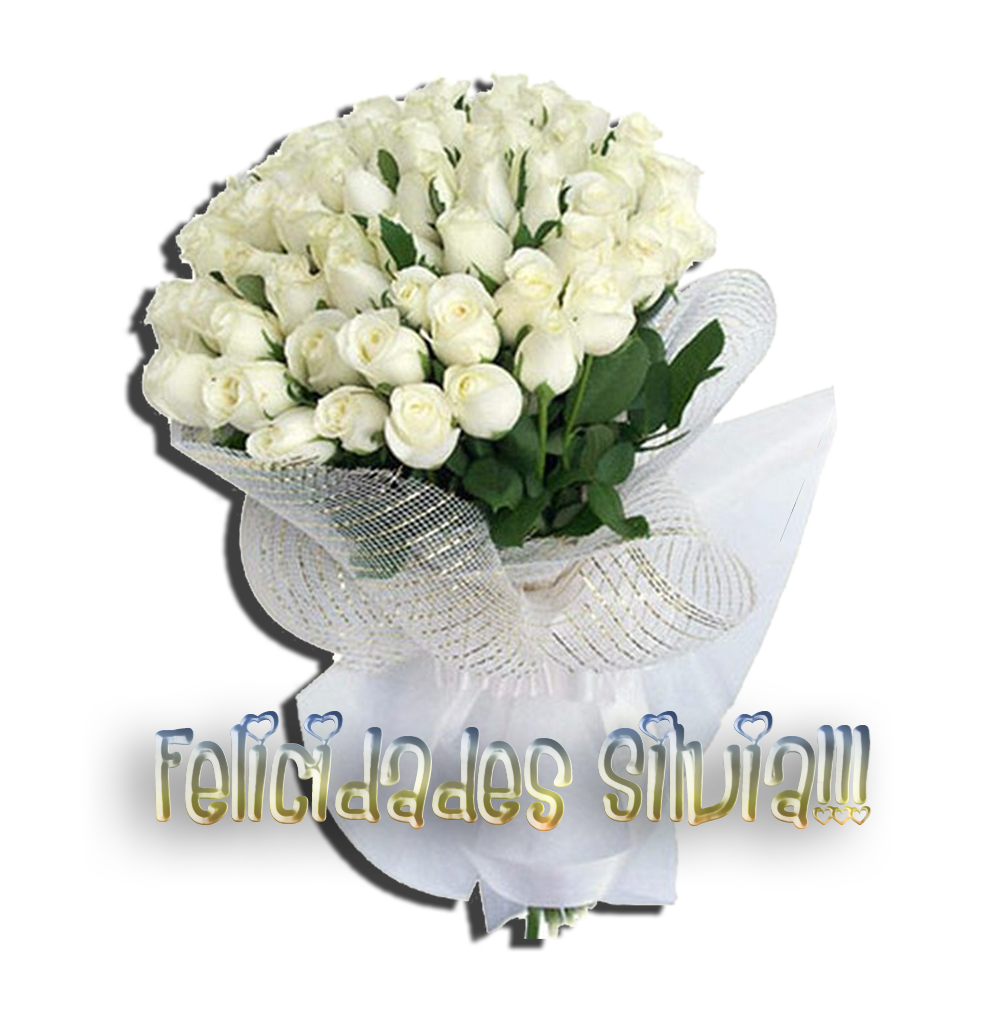  photo FloresSilvia_zpsd864b19f.png