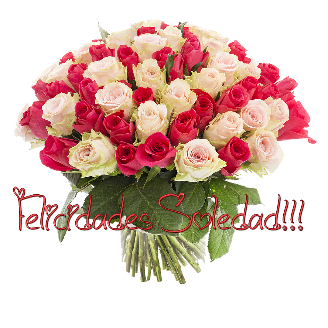 photo Soledad_zpsx7s8gnwp.png