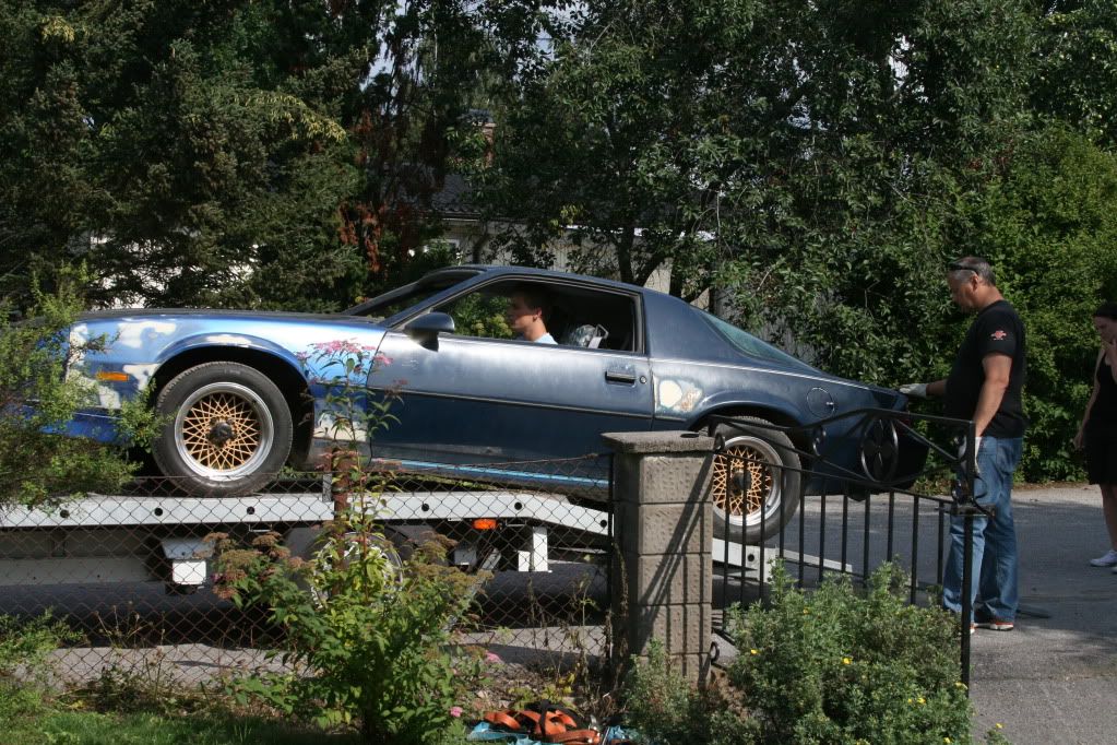 http://i1090.photobucket.com/albums/i379/Jonas_740/Camaro/IMG_5634.jpg