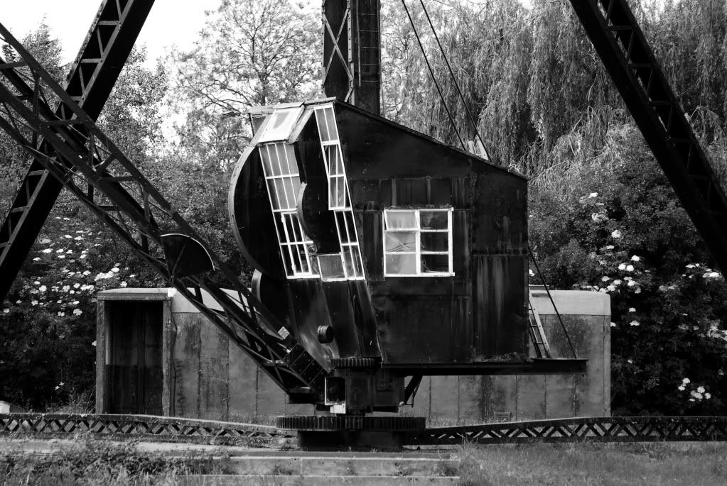 Crane.jpg