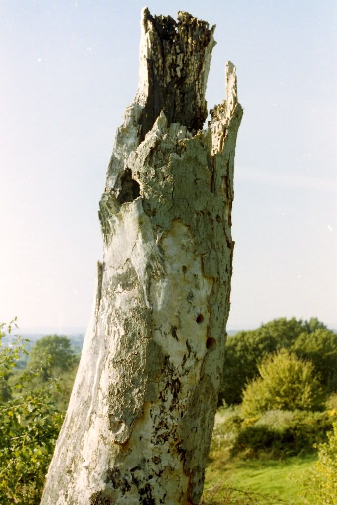 2011-12-05_24.jpg