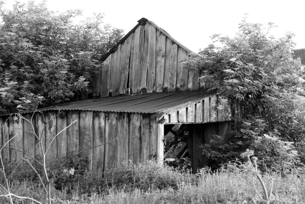 OldBarn01_1.jpg