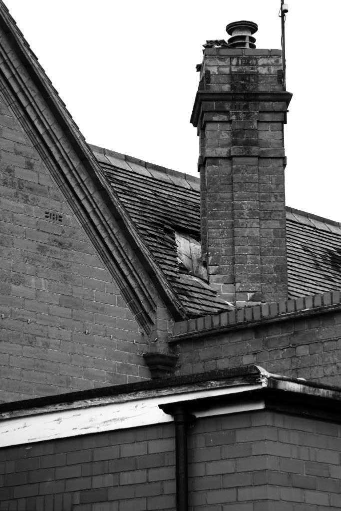 UrbanDecay01copy.jpg