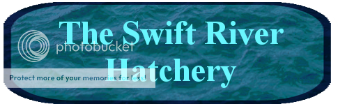 The%20Swift%20River%20Hatchery.png