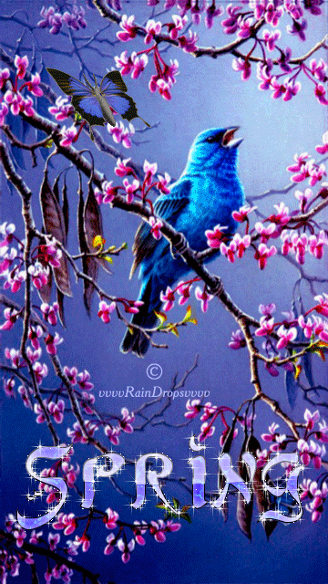 Https Encrypted Tbn0 Gstatic Com Images Q Tbn 3aand9gcqd2nfgkvk6dvbxhzbombm1zgijo3y5m3rgwq Usqp Cau
