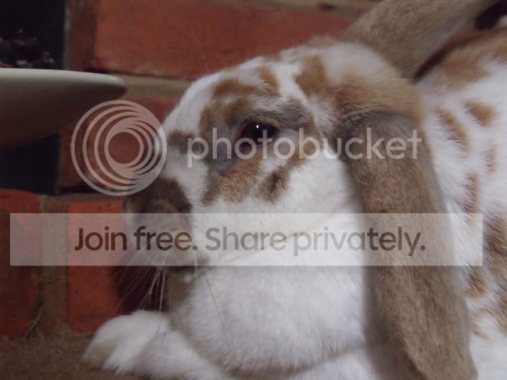 DSCF2848.jpg