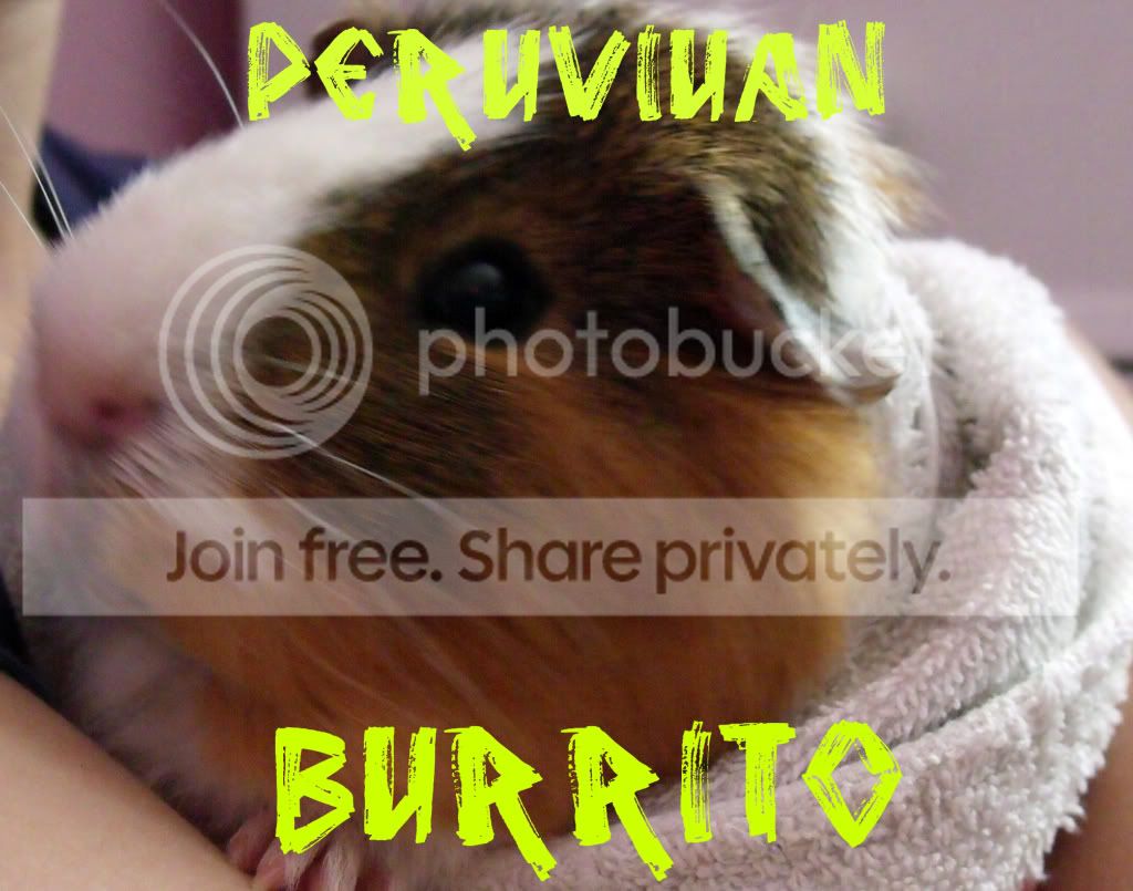 PeruvianBurrito.jpg