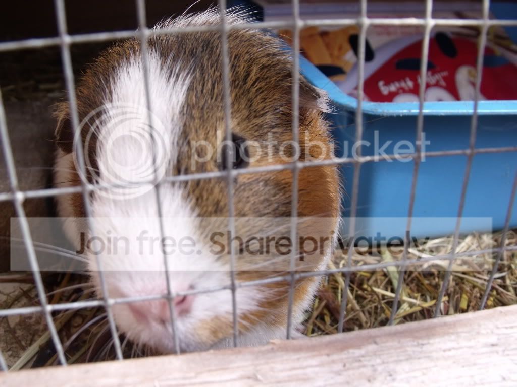 Picture022.jpg